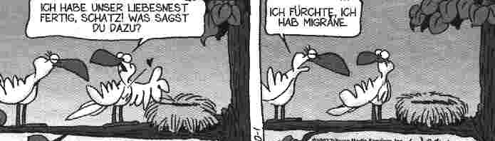 nest.JPG (11585 Byte)